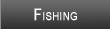 Nottely Lake Fishing